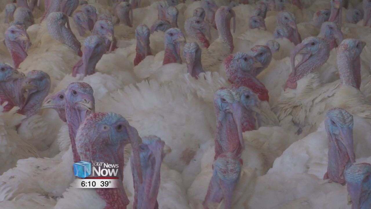 Cooper Farms Entering 81st Year of Business